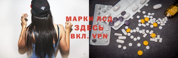 хмурый Каменногорск