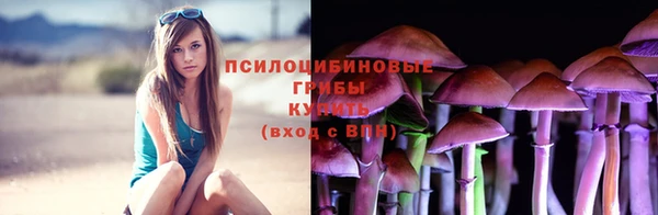 хмурый Каменногорск