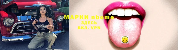 хмурый Каменногорск
