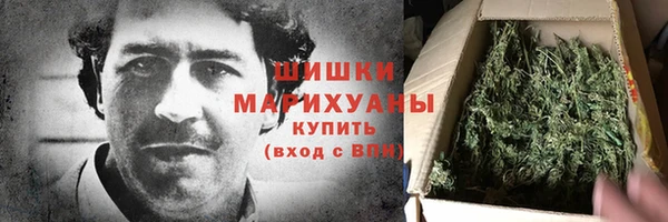 хмурый Каменногорск