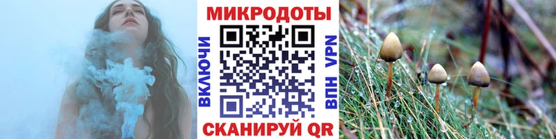 Купить закладки  Луза  Псилоцибиновые грибы ЛСД 