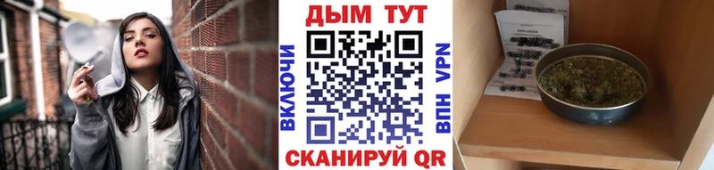 Канабис White Widow  Купить где  Луза 